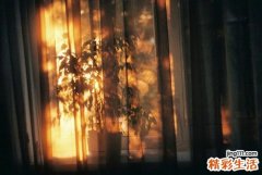 日常做好5件事有助减压