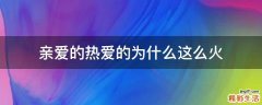 亲爱的热爱的为什么这么火