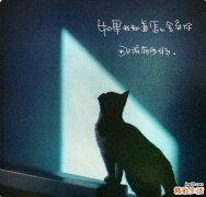 辛夷的作用