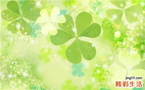 治疗斑秃的偏方15