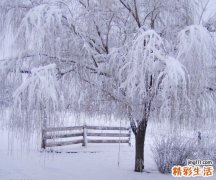 治鼻窦炎食谱