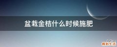 盆栽金桔什么时候施肥