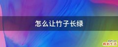 怎么让竹子长绿