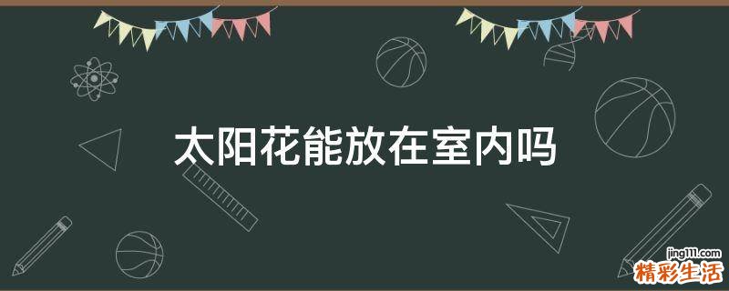 太阳花能放在室内吗