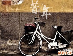 中医调治面黄色斑