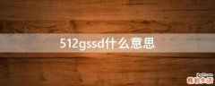 512gssd什么意思