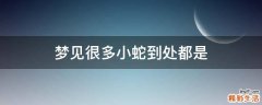 梦见很多小蛇到处都是