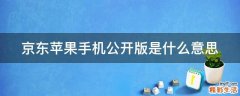 京东苹果手机公开版是什么意思
