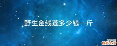 野生金线莲多少钱一斤