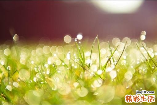 慢性支气管炎患者如何预防感冒？