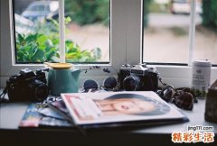 5 地瓜藤