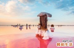 秋季吃什么降虚火