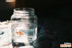 6 全面了解肺癌