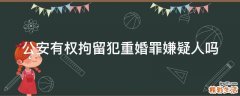 公安有权拘留犯重婚罪嫌疑人吗