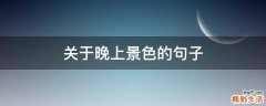 关于晚上景色的句子