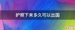 护照下来多久可以出国