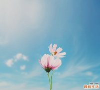 治疗哮喘验方