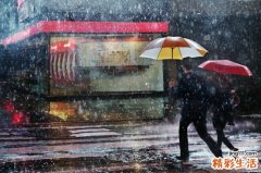 2 早餐5种巧搭配 营养又瘦身