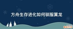 方舟生存进化如何驯服翼龙