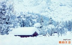 大山豆