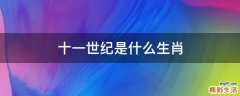 十一世纪是什么生肖