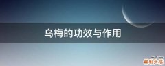 乌梅的功效与作用
