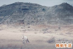 小儿消化性溃疡