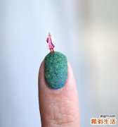春季适合吃什么凉菜
