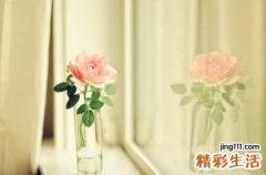 5 红土子