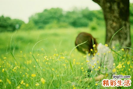蓝莓的营养价值