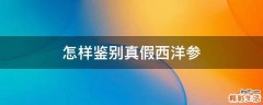 怎样鉴别真假西洋参