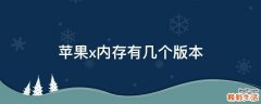 苹果x内存有几个版本