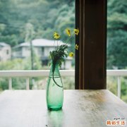 2 蘑菇的营养价值