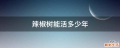 辣椒树能活多少年