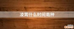 凌霄什么时间栽种