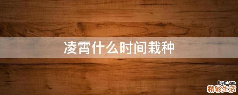 凌霄什么时间栽种