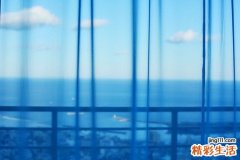 佛手的做法及营养知识介绍