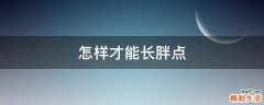 怎样才能长胖点