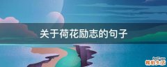 关于荷花励志的句子