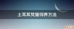 土耳其梵猫饲养方法