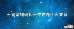王者荣耀瑶和云中君是什么关系