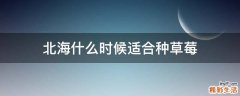 北海什么时候适合种草莓