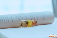 牡蛎的功能与主治