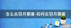 怎么去羽月要塞-如何去羽月要塞