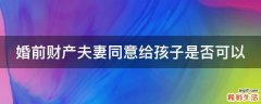 婚前财产夫妻同意给孩子是否可以