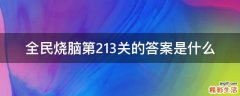 全民烧脑第213关的答案是什么