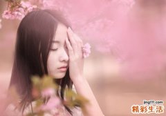 4 大山玄参