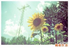 司机坐骨神经痛如何调理