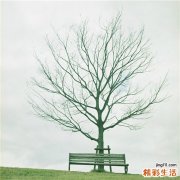 老人吃哪种蜂蜜好