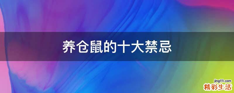 養(yǎng)倉鼠的十大禁忌